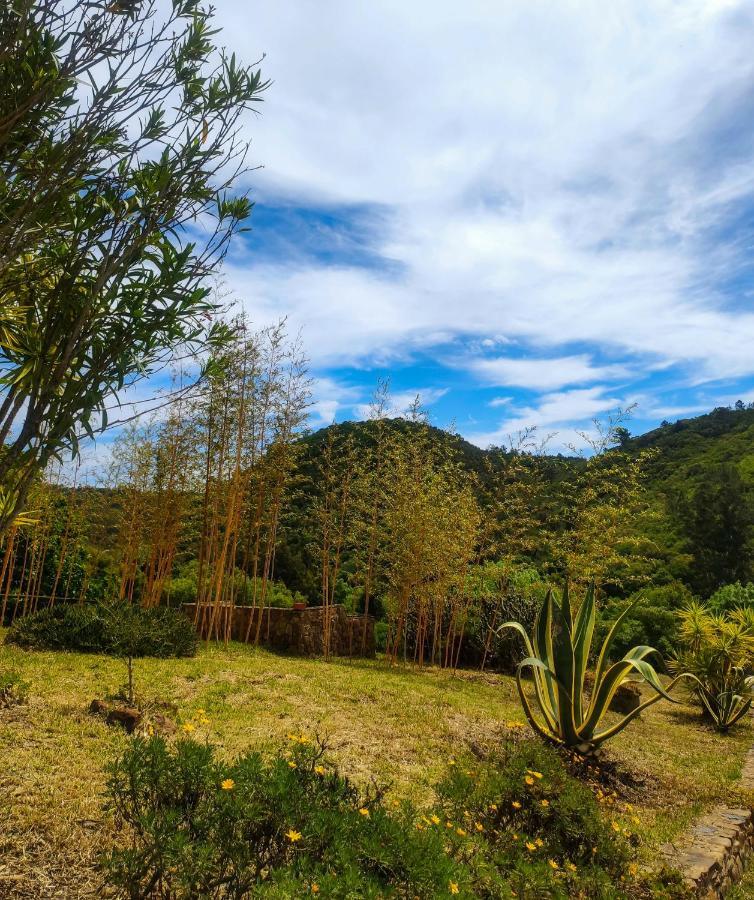 Monte Da Conqueira Villa Odemira Luaran gambar
